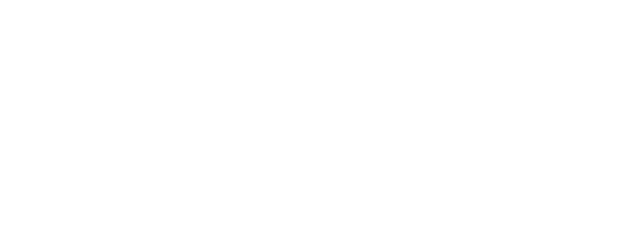 Escelente logo